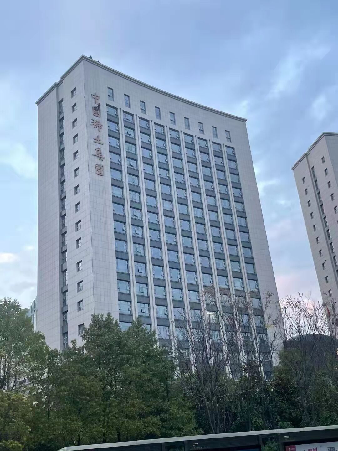 Çin Nadir Toprak Grubu kuruldu 1